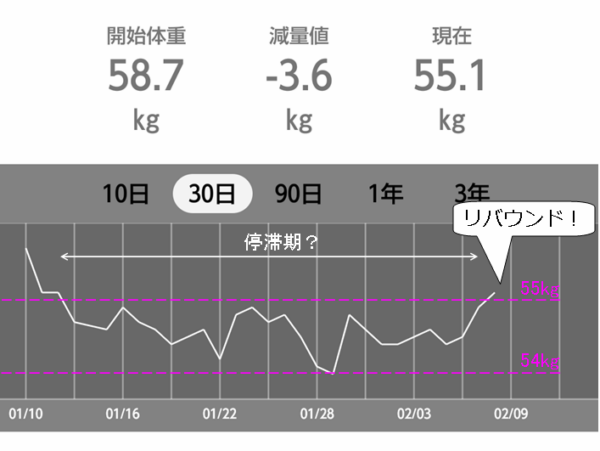 ダイエット記録